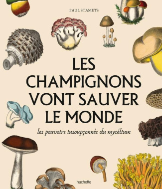 Les champignons vont sauver le monde. Les pouvoirs insoupçonnés du mycelium