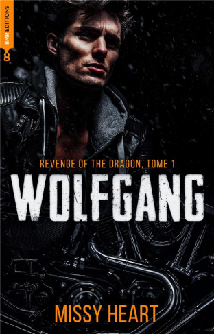 Revenge of the dragon Tome 1 : Wolfgang