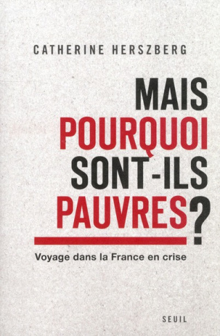 Mais pourquoi sont-ils pauvres ? Voyage dans la France en crise