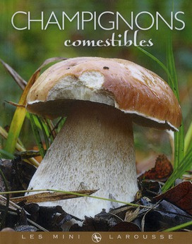 Champignons comestibles