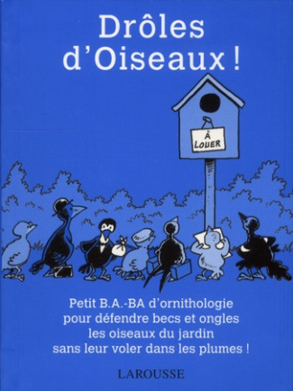 Drôles d'oiseaux !