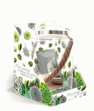 Mini-jardins de verre. 12 terrariums expliqués pas à pas, avec un terrarium en verre