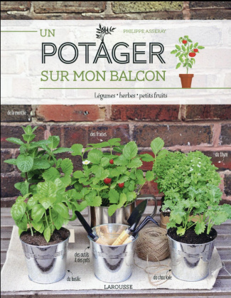 Un potager sur mon balcon