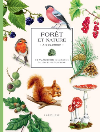 Forêt et nature à colorier. 40 planches détachables à colorier ou à peindre