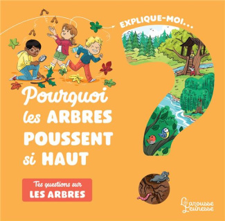 Explique-moi... Pourquoi les arbres poussent si haut ? Tes questions sur les arbres