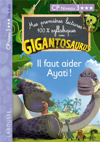 Il faut aider Ayati ! CP Niveau 3