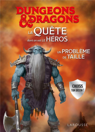 Dungeons & Dragons - La quête dont on est le héros. Un problème de taille