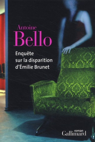 Enquête sur la disparition d'Emilie Brunet