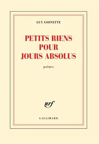 Petits riens pour jours absolus