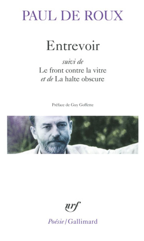 Entrevoir. Suivi de Le front contre la vitre et de La halte obscure