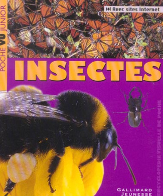 Insectes