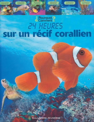 24 heures sur un récif coralien