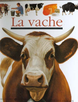 La vache