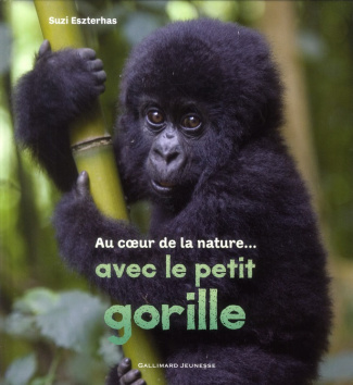 Au coeur de la nature avec le petit gorille