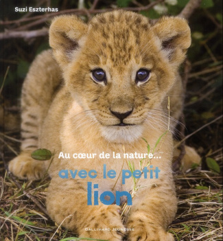 Au coeur de la nature avec le petit lion