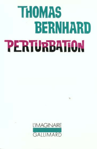 Perturbation