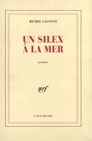Un silex à la mer