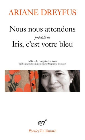 Nous nous attendons. Précédé de Iris, c'est votre bleu