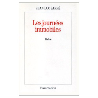 LES JOURNEES IMMOBILES