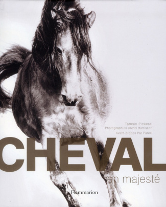 Cheval en majesté