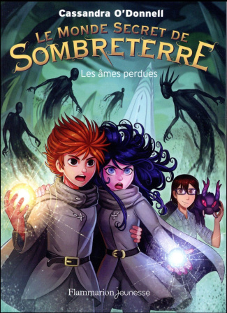 Le Monde Secret de Sombreterre Tome 3 : Les âmes perdues