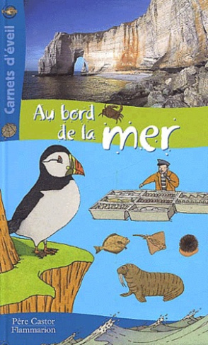 AU BORD DE LA MER