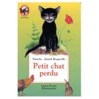 PETIT CHAT PERDU