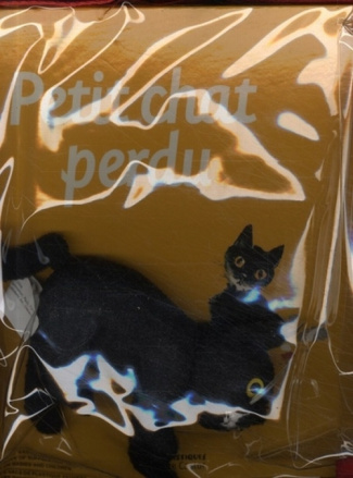 Petit chat perdu. Avec une peluche