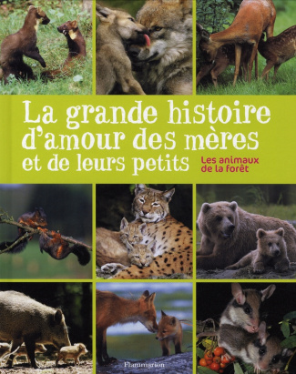 La grande histoire d'amour des mères et de leurs petits. Les animaux de la forêt