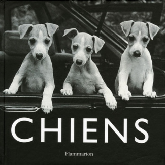 Chiens