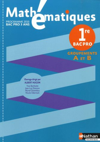 Mathématiques 1e Bac pro. Groupement A-B, Programme 2010