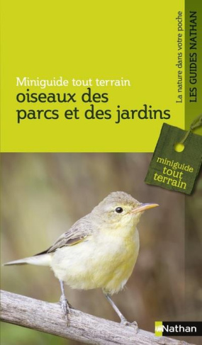 Oiseaux des parcs et des jardins