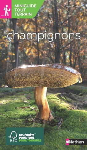 Champignons