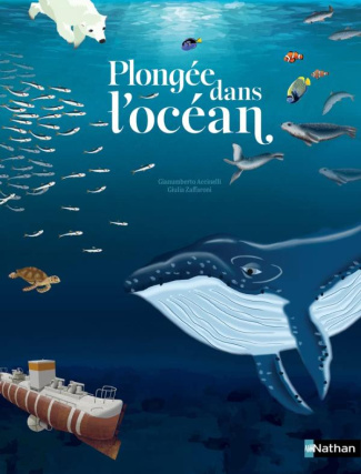 Plongée dans l'océan. Un voyage sous-marin de le surface aux abysses