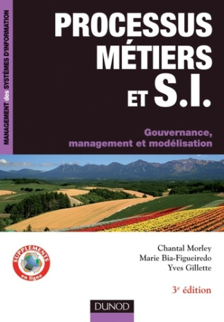 Processus métiers et systèmes d'information. Gouvernance, management, modélisation, 3e édition