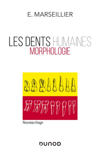 Les dents humaines. Morphologie