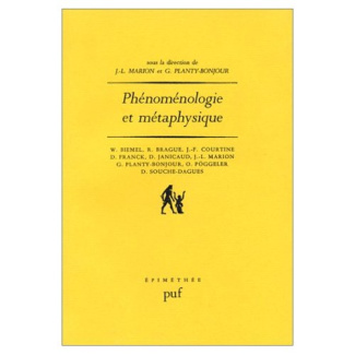 Phénoménologie et métaphysique