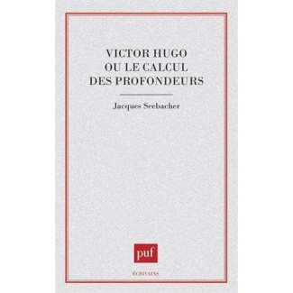 Victor Hugo ou Le calcul des profondeurs