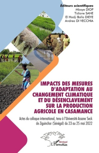 Impacts des mesures d'adaptation au changement climatique et du désenclavement sur la production agr