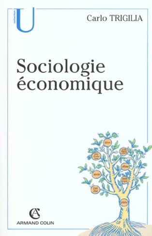 Sociologie économique. Etat, marché et société dans le capitalisme moderne