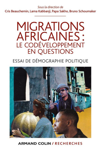 Migrations africaines : le codéveloppement en questions. Essai de démographie politique