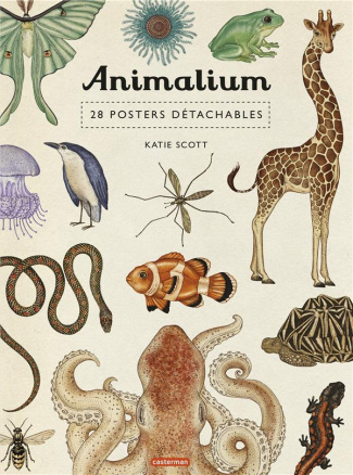 Animalium. 28 posters détachables