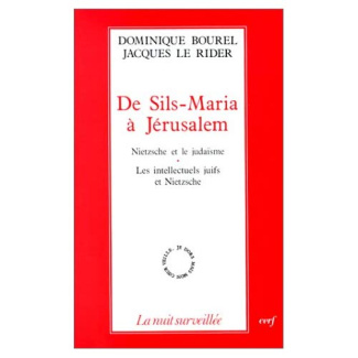 De Sils-Maria à Jérusalem. Nietzsche et le judaïsme, les intellectuels juifs et Nietzsche