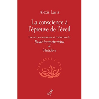 La conscience à l'épreuve de l'éveil