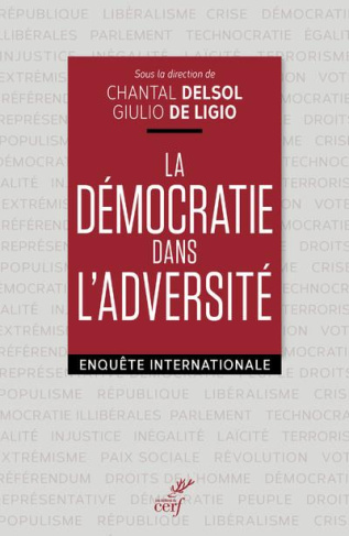 La démocratie dans l'adversité. Enquête internationale