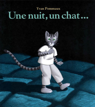 Une nuit, un chat