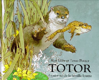 TOTOR. Dernier né de la famille loutre