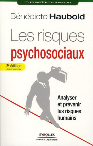 Les risques psychosociaux. Analyser et prévenir les risques humains, 2e édition