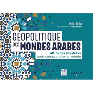 Géopolitique des mondes arabes. 40 fiches illustrées pour comprendre le monde