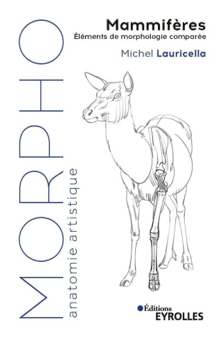 Morpho Mammifères. Eléments de morphologie comparée